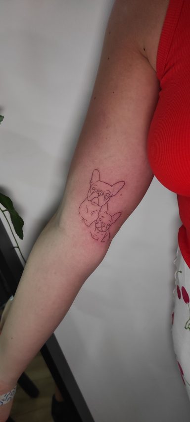 fineline french bulldog